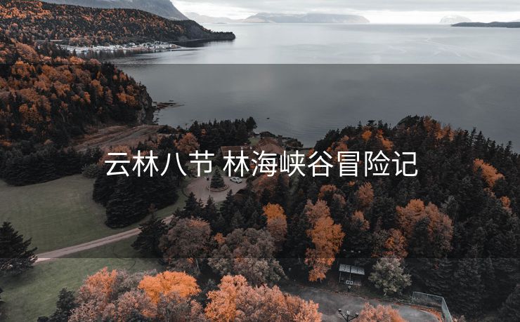 云林八节 林海峡谷冒险记